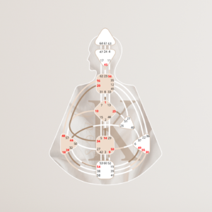 Alternative view of Human Design Basic Reading